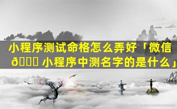 小程序测试命格怎么弄好「微信 🍀 小程序中测名字的是什么」